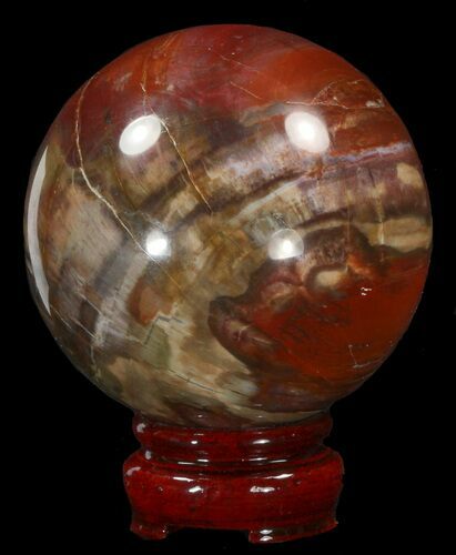 Colorful Petrified Wood Sphere #41948